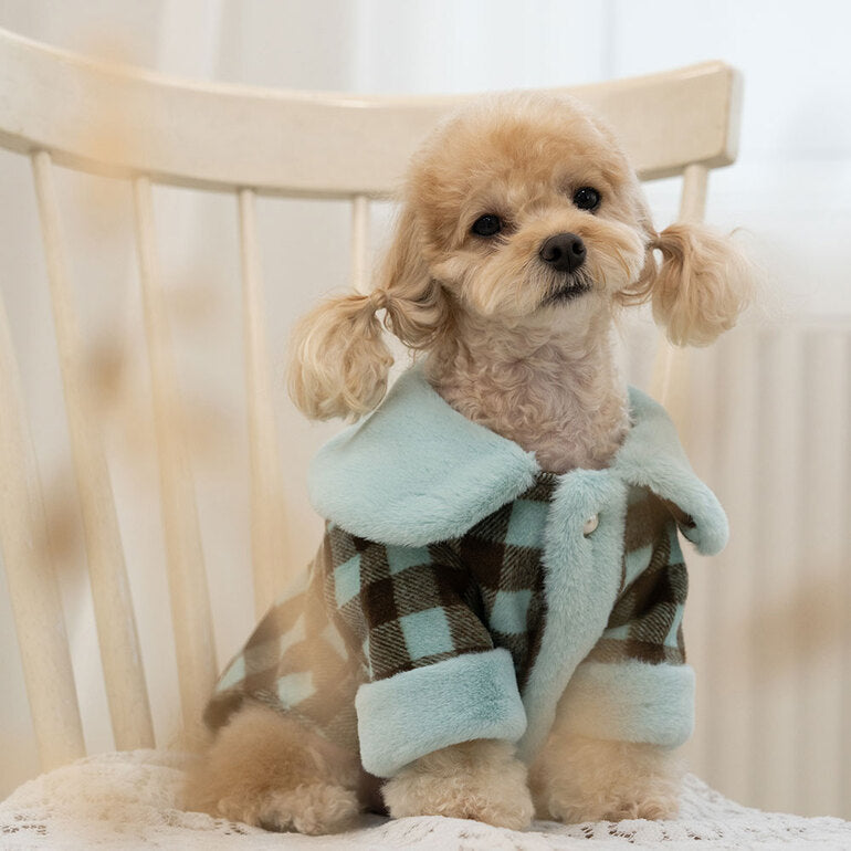 韓國新品上架【梨花娘】🐾BAILEY 🐶秋冬新品 格子翻領珍珠鈕釦保暖寵物毛衣(2色)