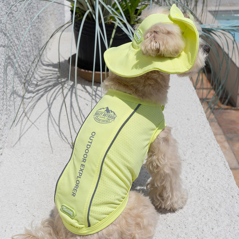 韓國BAILEY💖【梨花娘】夏日必備菌菌掰掰輕薄快乾透氣水陸兩用寵物衣(帽子可另購3色)