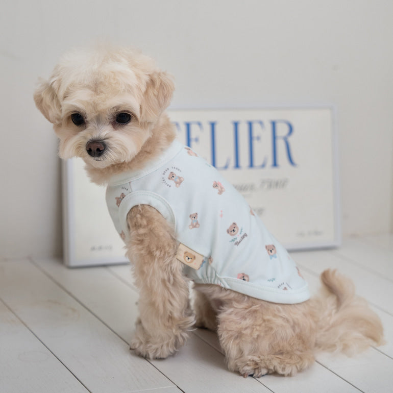 韓國新品上架【梨花娘】🐾BAILEY 🐶秋冬新品 萌系滿版小熊舒適細菌掰掰無袖寵物衣(3色)