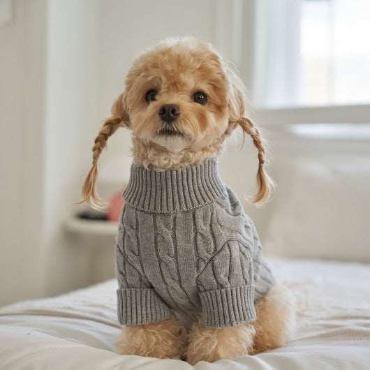 韓國新品上架【梨花娘】🐾BAILEY 🐶秋冬新品 小熊刺繡保暖舒適針織寵物毛衣(5色)