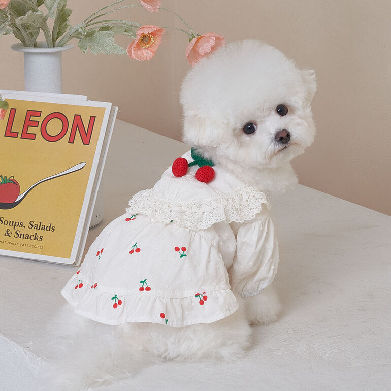 Korean BAILEY Pet Products Exquisite Cherry Dress (In Stock + Pre-order)