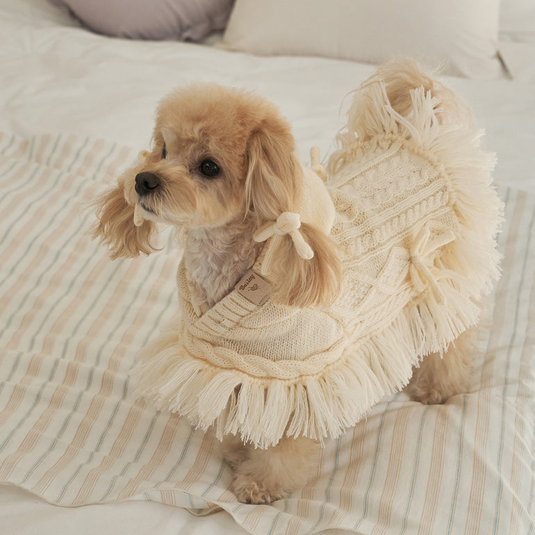 韓國【梨花娘】🐾BAILEY 🐶秋冬新品 針織毛線斗篷連帽蝴蝶結保暖寵物毛衣(2色)