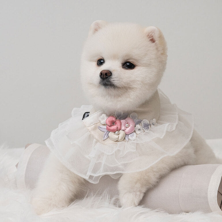 【梨花娘】🐶 韓國BAILEY💖寵物品牌精緻婚紗夢幻領巾(現貨+預購)