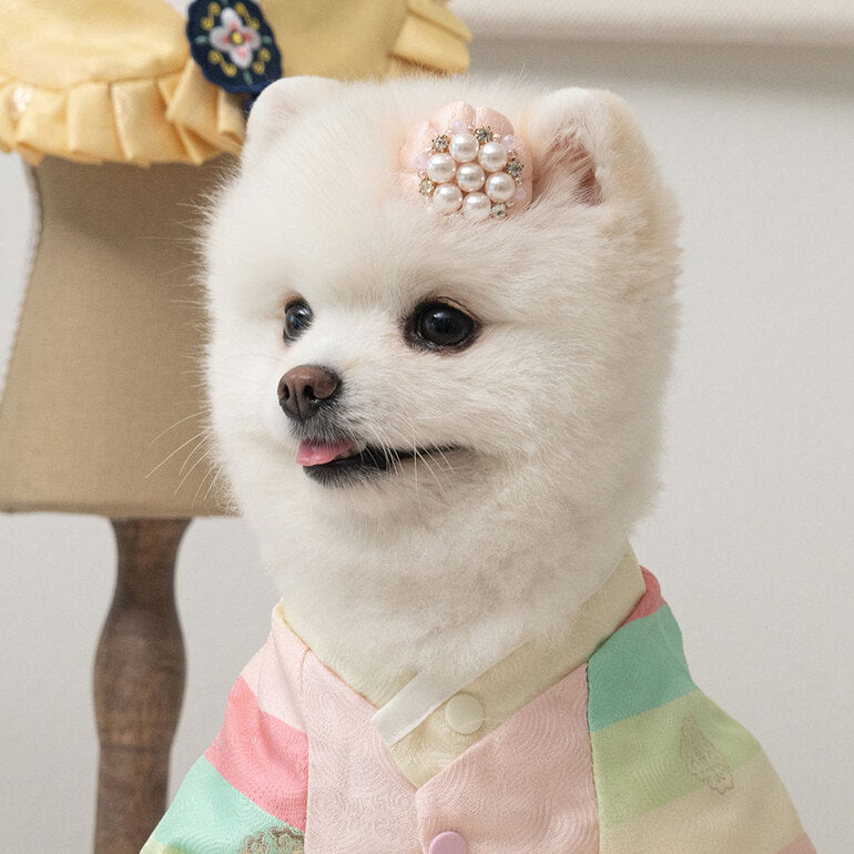 韓國新品上架【梨花娘】🐾BAILEY 🐶韓系華麗宮庭風珍珠流蘇寵物髮夾(9色)