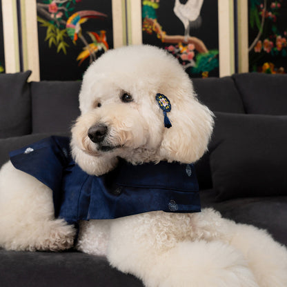 韓國新品上架【梨花娘】🐾BAILEY 🐶高質感韓服頭飾流蘇古典手工寵物髮夾(7色)