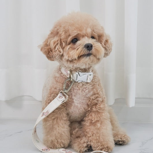 韓國新品上架【梨花娘】🐾BAILEY 🐶秋冬新品 馬卡龍柔軟色系小熊圖案簡易款寵物牽繩(3色)
