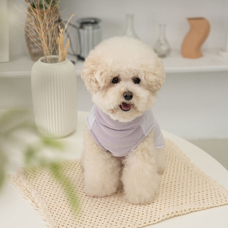 韓國新品上架【梨花娘】🐾BAILEY 🐶秋冬新品 柔軟菌菌拜拜內襯防潑水高領設計保暖寵物服飾(3色)