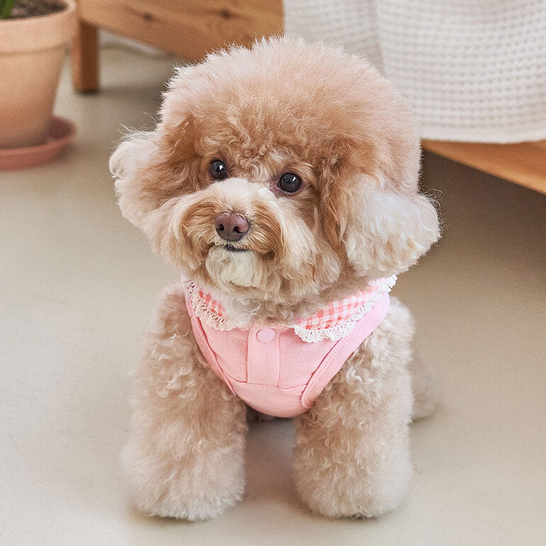 韓國新品上架【梨花娘】🐾BAILEY 🐶秋冬新品 韓系溫小公主格子領蕾絲邊刺繡寵物服飾(3色)