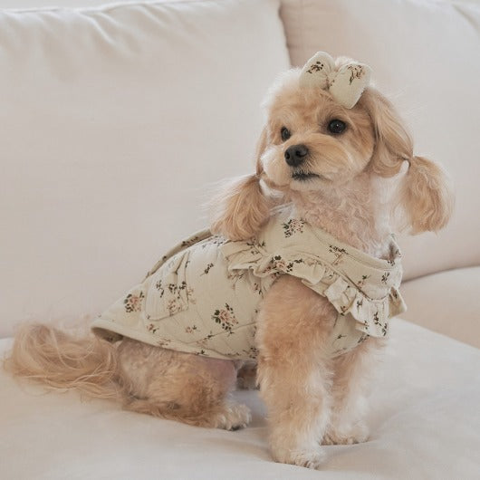 韓國新品上架【梨花娘】🐾BAILEY 🐶秋冬新品 親膚保暖純棉荷葉邊復古小碎花寵物服飾(2色)