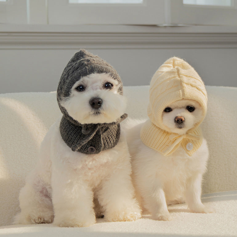 ✈️【梨花娘】韓國BAILEY❄️北歐暖嶼親密主人同款針織鈕釦寵物連帽圍脖(4色)