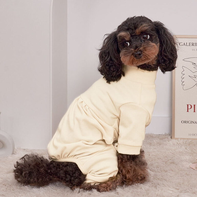 韓國新品上架【梨花娘】🐾BAILEY 🐶秋冬新品 素色半高領彈性舒適柔軟寵物服飾(2色)