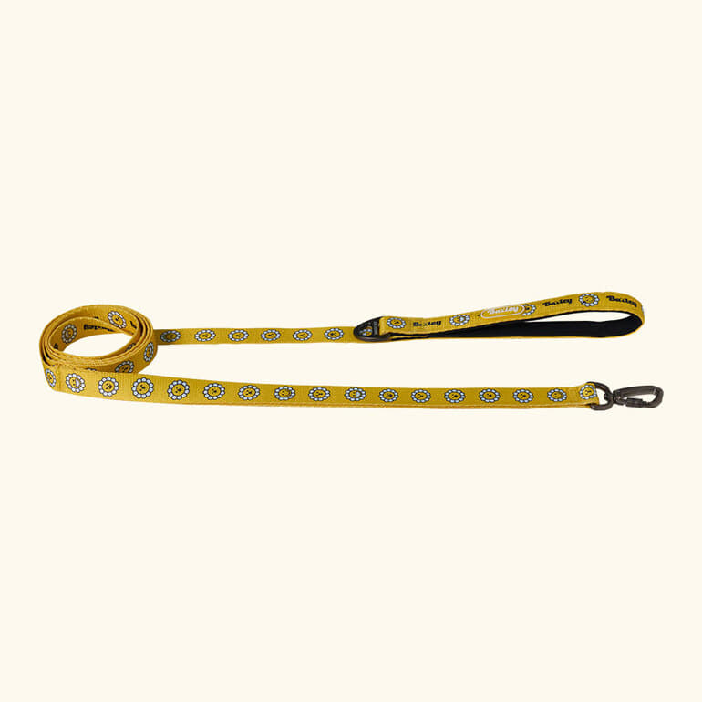 韓國新品上架【梨花娘】🐾BAILEY 🐶秋冬新品 飽合亮色花朵微笑寵物牽繩(4色)