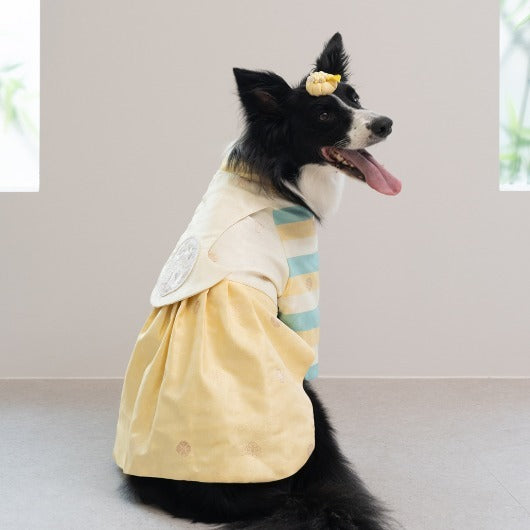 韓國新品上架【梨花娘】🐾BAILEY 🐶秋冬新品 皇室公主刺繡百褶裙寵物韓服(2色)