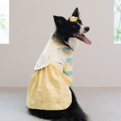 韓國新品上架【梨花娘】🐾BAILEY 🐶秋冬新品 皇室公主刺繡百褶裙寵物韓服(2色)