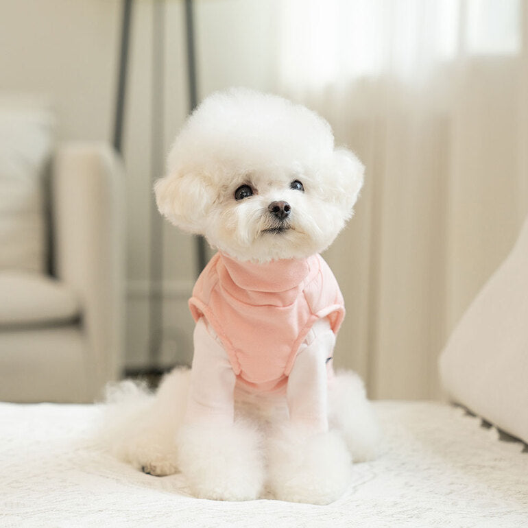 韓國新品上架【梨花娘】🐾BAILEY 🐶秋冬新品 柔軟菌菌拜拜內襯防潑水高領設計保暖寵物服飾(3色)