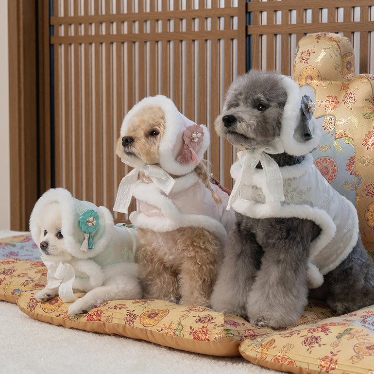 【梨花娘】🐾BAILEY 🐶韓國雪花保暖鋪棉寵物宮廷刺繡棉背心(可另購耳罩(3色))