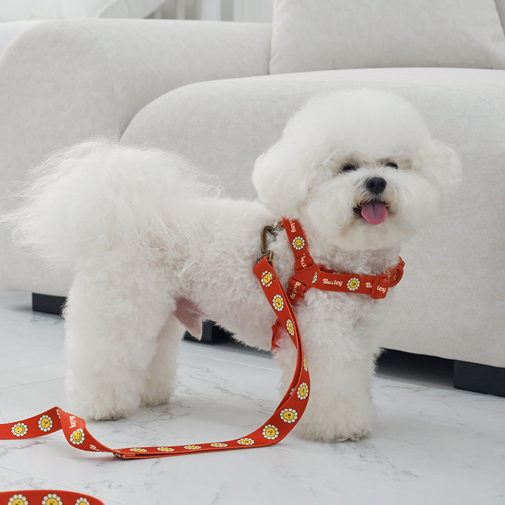 韓國新品上架【梨花娘】🐾BAILEY 🐶秋冬新品 飽合亮色花朵微笑寵物牽繩(4色)