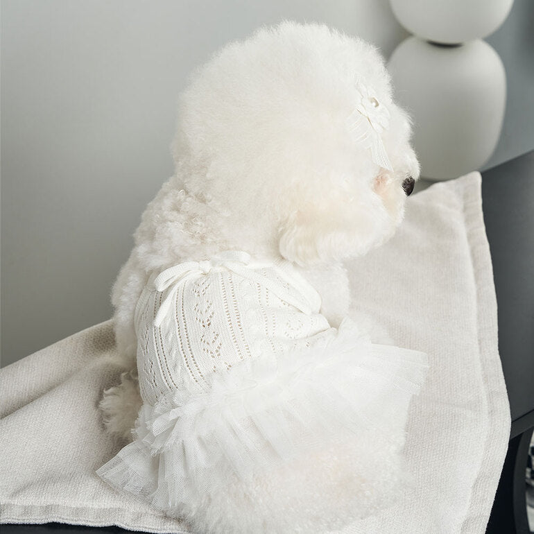 韓國新品上架【梨花娘】🐾BAILEY 🐶秋冬新品 針織拼接蕾絲氣質優雅花朵芭蕾舞裙寵物服飾(2色)