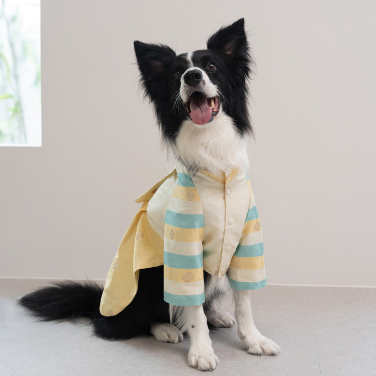 韓國新品上架【梨花娘】🐾BAILEY 🐶秋冬新品 皇室公主刺繡百褶裙寵物韓服(2色)