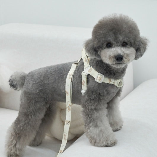 韓國新品上架【梨花娘】🐾BAILEY 🐶秋冬新品 馬卡龍柔軟色系小熊圖案寵物牽繩(3色)