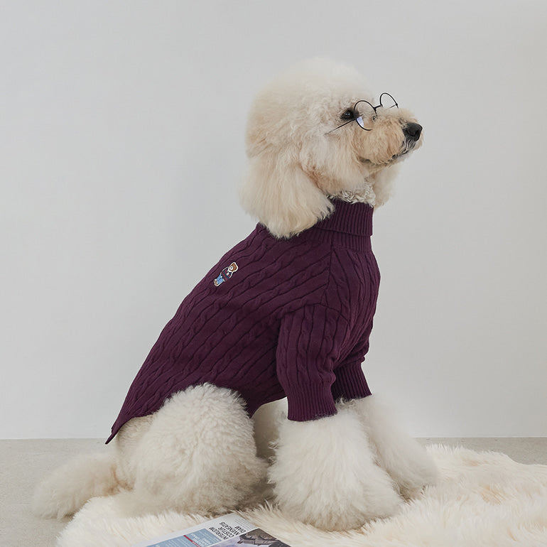 韓國新品上架【梨花娘】🐾BAILEY 🐶秋冬新品 小熊刺繡保暖舒適針織寵物毛衣(5色)