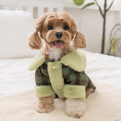 韓國新品上架【梨花娘】🐾BAILEY 🐶秋冬新品 格子翻領珍珠鈕釦保暖寵物毛衣(2色)