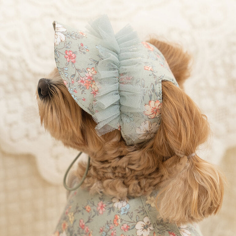 韓國新品上架【梨花娘】🐾BAILEY 🐶秋冬新品 溫柔蕾絲荷葉邊花朵復古可愛寵物服飾(2色)