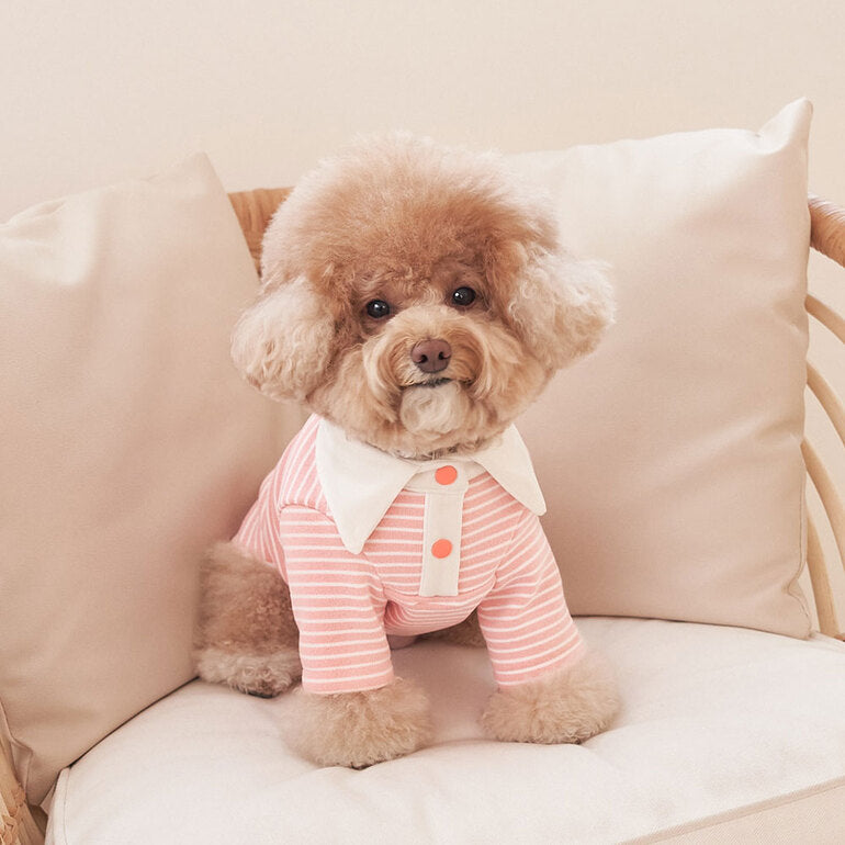 韓國新品上架【梨花娘】🐾BAILEY 🐶秋冬新品 條紋翻領柔棉立體徽章刺繡寵物服飾(3色)