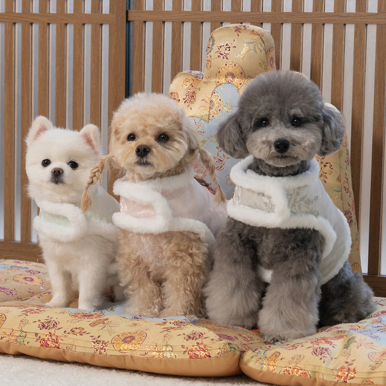 【梨花娘】🐾BAILEY 🐶韓國雪花保暖鋪棉寵物宮廷刺繡棉背心(可另購耳罩(3色))