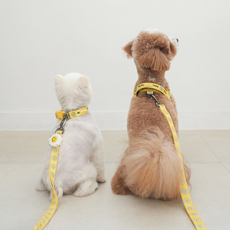 韓國新品上架【梨花娘】🐾BAILEY 🐶秋冬新品 飽合亮色花朵微笑寵物牽繩(4色)