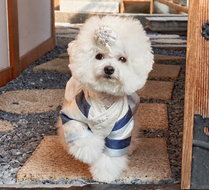 韓國新品上架【梨花娘】🐾BAILEY 🐶韓系華麗宮庭風珍珠流蘇寵物髮夾(9色)