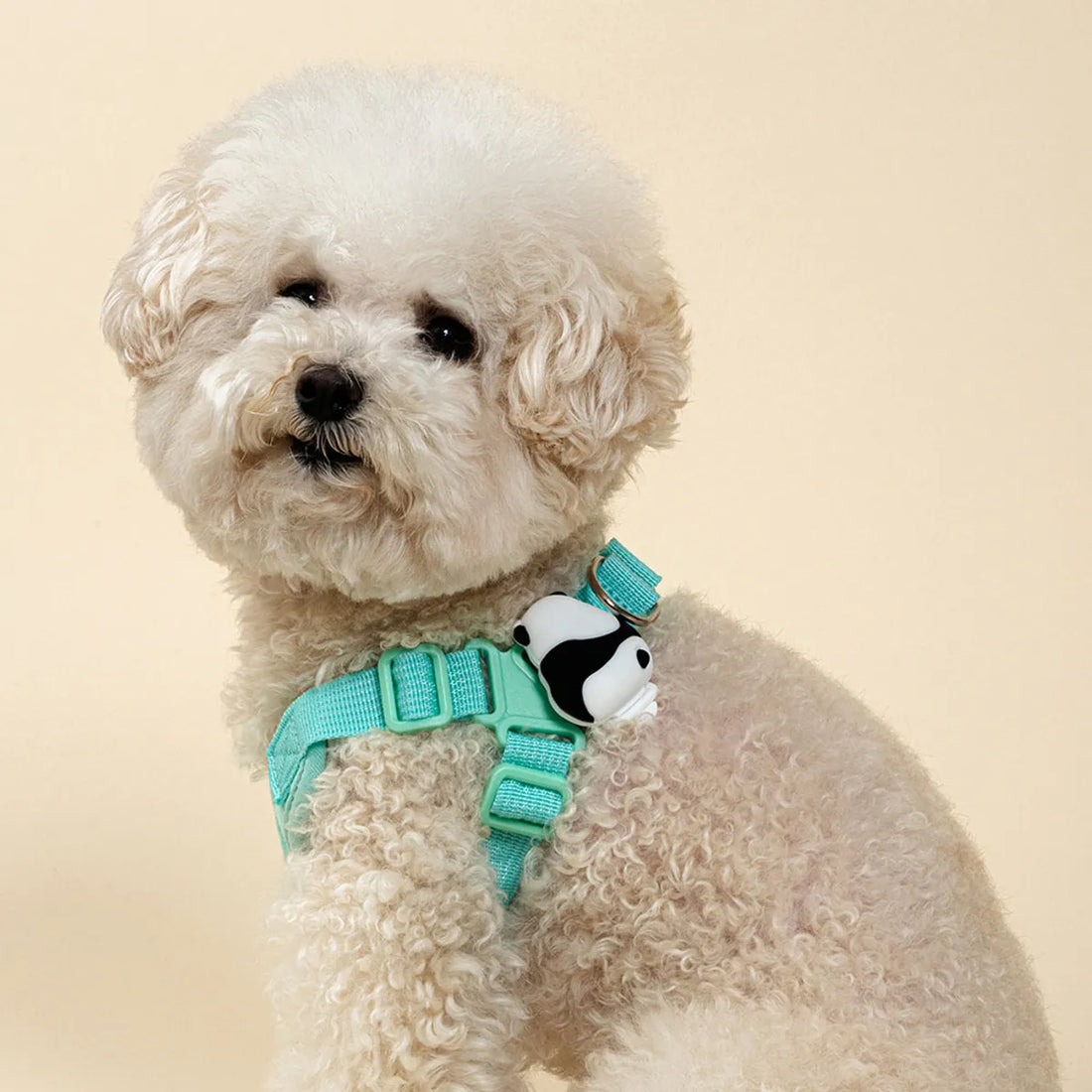 韓國BAILEY💖【梨花娘】可充電貓咪狗狗寵物照明硅膠LED燈三段式牽繩項圈掛飾 韓國連線