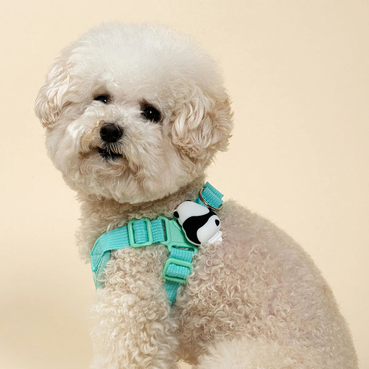 韓國BAILEY💖【梨花娘】可充電貓咪狗狗寵物照明硅膠LED燈三段式牽繩項圈掛飾 韓國連線