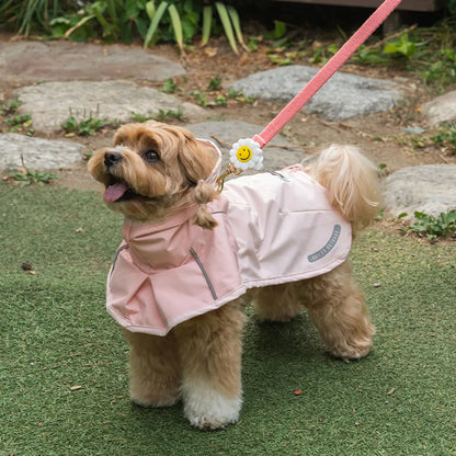 韓國BAILEY💖【梨花娘】可充電貓咪狗狗寵物照明硅膠LED燈三段式牽繩項圈掛飾 韓國連線