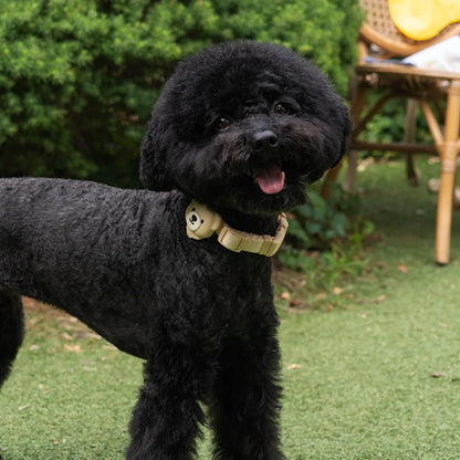 韓國BAILEY💖【梨花娘】可充電貓咪狗狗寵物照明硅膠LED燈三段式牽繩項圈掛飾 韓國連線