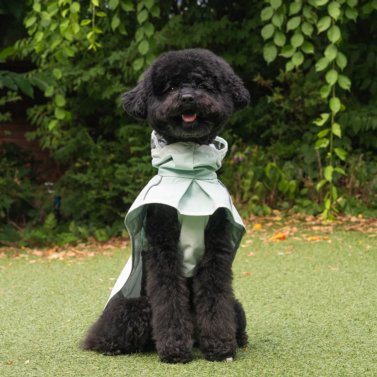 韓國🐾BAILEY💧【梨花娘】新品上架💕貼心可透明帽沿輕薄防水安全反光設計寵物雨衣(3色)