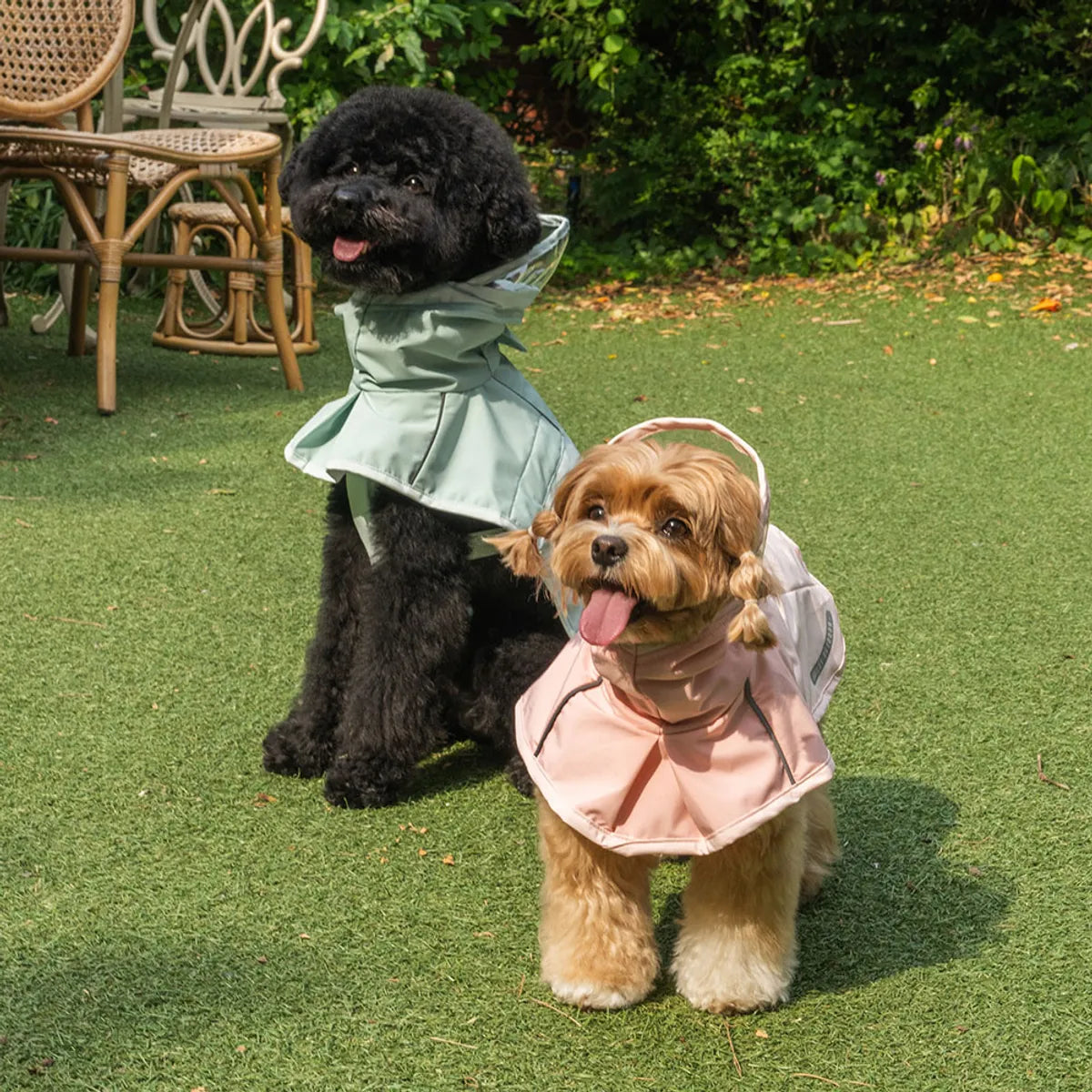 韓國🐾BAILEY💧【梨花娘】新品上架💕貼心可透明帽沿輕薄防水安全反光設計寵物雨衣(3色)