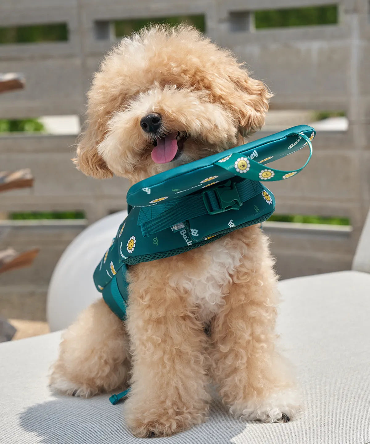 韓國新品上架【梨花娘總代理】🐾BAILEY 🐶夏日高浮力清涼透氣笑臉花朵寵物救生漂浮泳衣(4色)