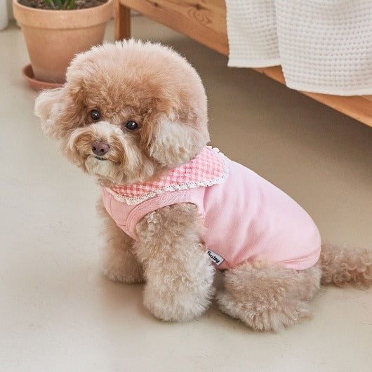 韓國新品上架【梨花娘】🐾BAILEY 🐶秋冬新品 韓系溫小公主格子領蕾絲邊刺繡寵物服飾(3色)