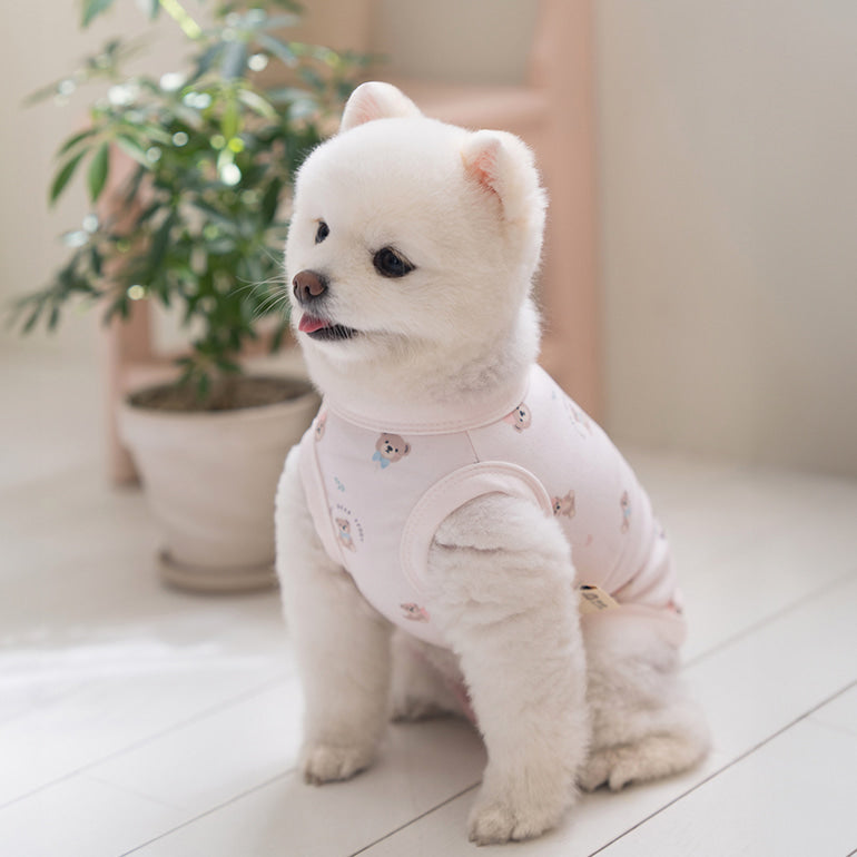 韓國新品上架【梨花娘】🐾BAILEY 🐶秋冬新品 萌系滿版小熊舒適細菌掰掰無袖寵物衣(3色)