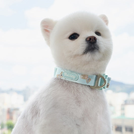 韓國新品上架【梨花娘】🐾BAILEY 🐶秋冬新品 馬卡龍柔軟色系小熊圖案簡易款寵物牽繩(3色)