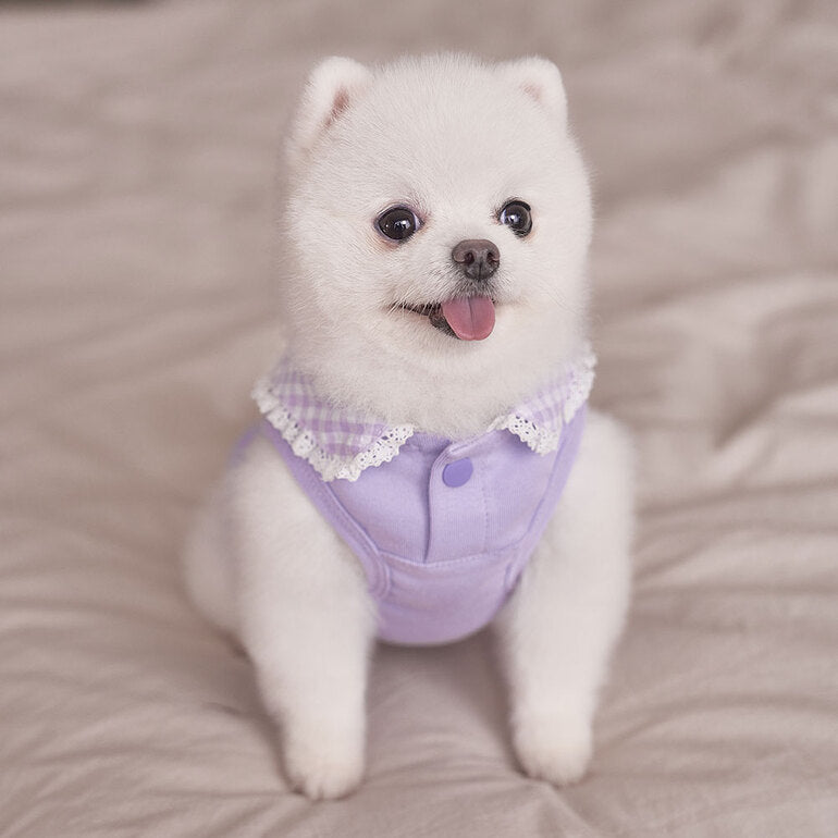 韓國新品上架【梨花娘】🐾BAILEY 🐶秋冬新品 韓系溫小公主格子領蕾絲邊刺繡寵物服飾(3色)