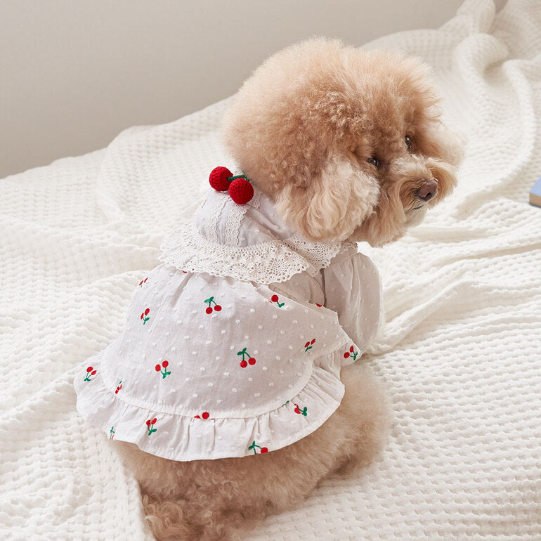 Korean BAILEY Pet Products Exquisite Cherry Dress (In Stock + Pre-order)