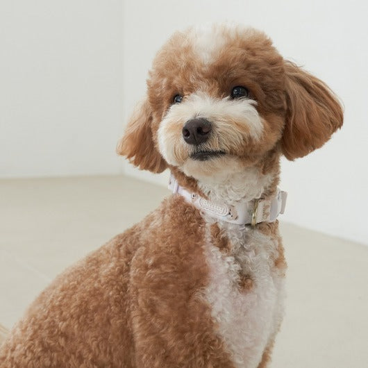 韓國新品上架【梨花娘】🐾BAILEY 🐶秋冬新品 馬卡龍柔軟色系小熊圖案簡易款寵物牽繩(3色)