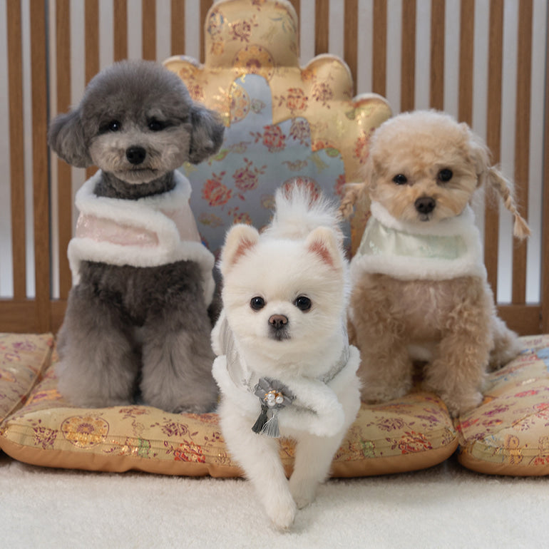 【梨花娘】🐾BAILEY 🐶韓國雪花保暖鋪棉寵物宮廷刺繡棉背心(可另購耳罩(3色))