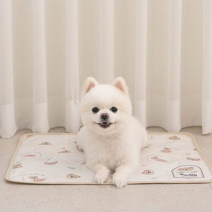 韓國BAILEY💖【梨花娘】夏日必備涼爽親膚降溫舒適防水滿版小熊寵物冰涼墊(3尺寸)