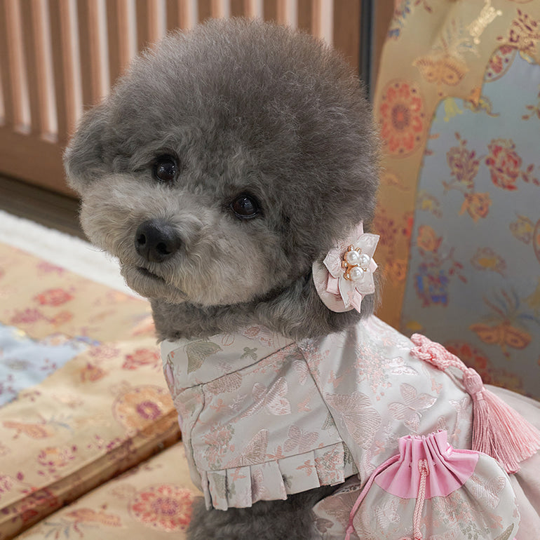 韓國新品上架【梨花娘】🐾BAILEY 🐶甜美韓服公主花漾珍珠寵物髮夾(2色)