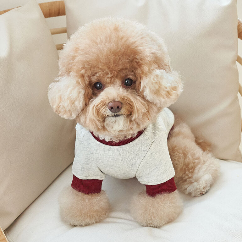 韓國新品上架【梨花娘】🐾BAILEY 🐶秋冬新品 韓系潮流聯名休閒棉質寵物服飾(3色)