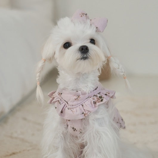 韓國新品上架【梨花娘】🐾BAILEY 🐶秋冬新品 親膚保暖純棉荷葉邊復古小碎花寵物服飾(2色)