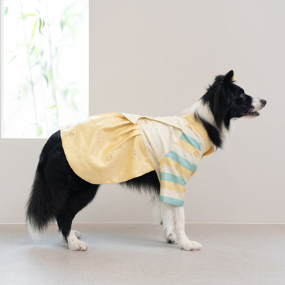 韓國新品上架【梨花娘】🐾BAILEY 🐶秋冬新品 皇室公主刺繡百褶裙寵物韓服(2色)